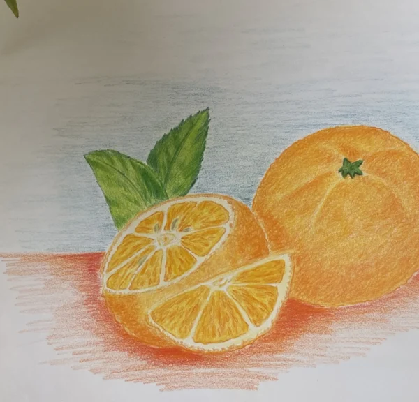 Dessin d'oranges