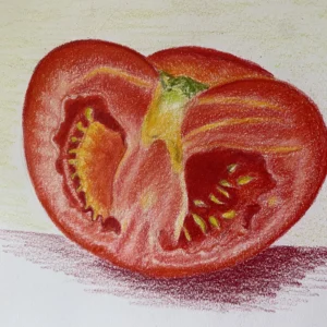 Dessin d'une tomate