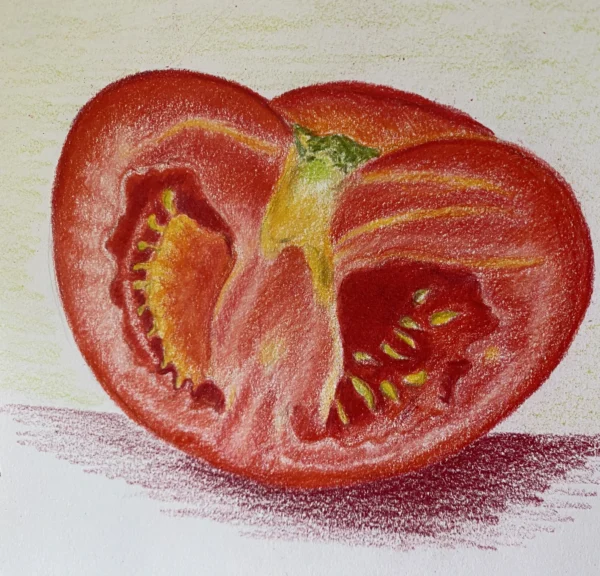 Dessin d'une tomate