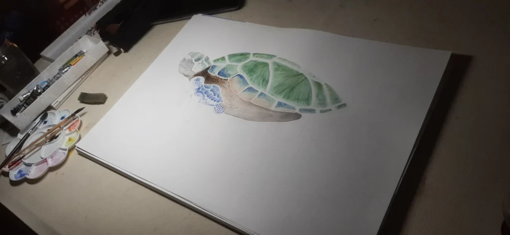 Dessin tortue